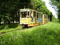 Фото 1 - на улице Красноармейской. Июнь 2008 г.